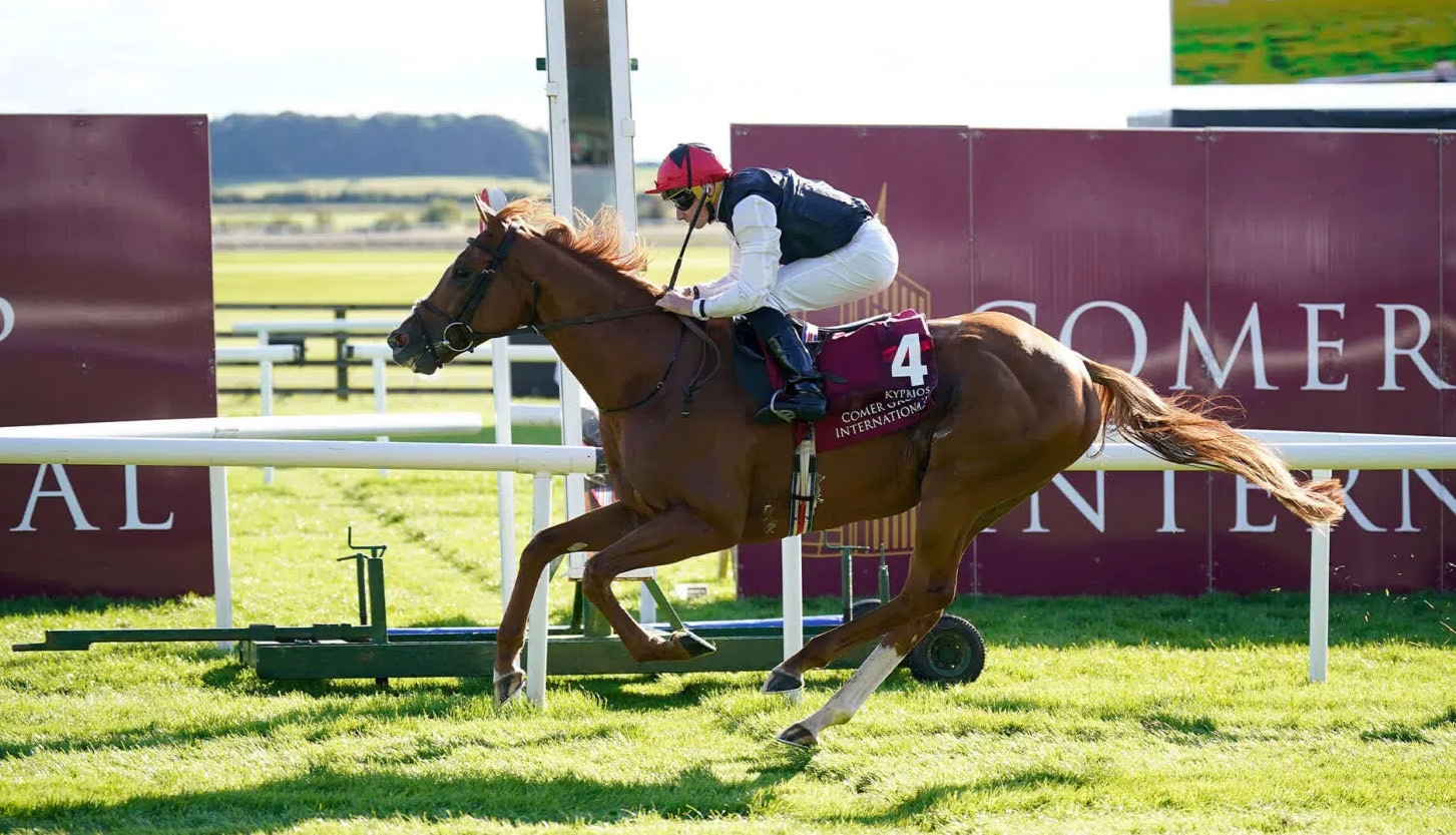 Moyglare Stud Kyprios
