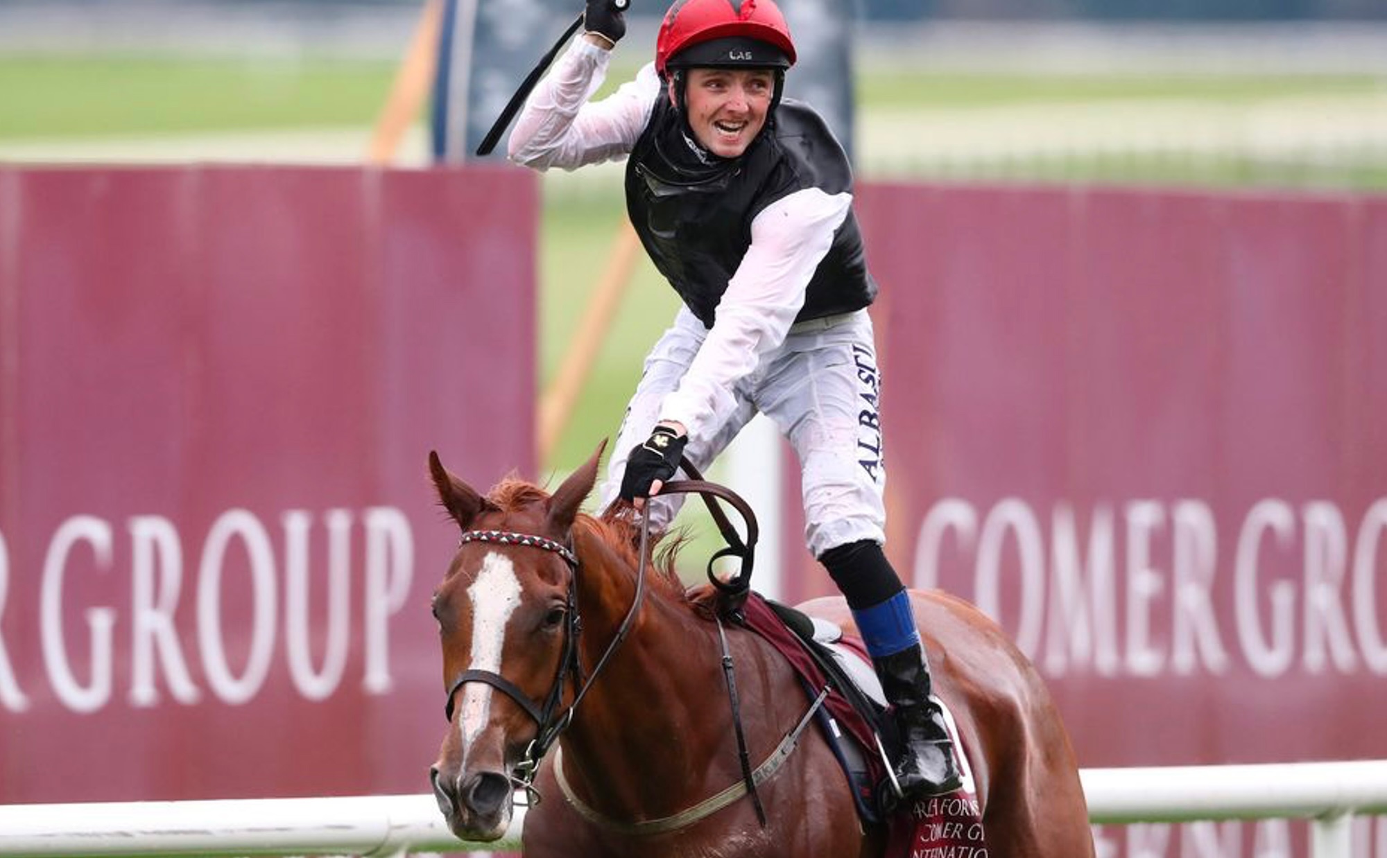 Moyglare Stud Breeding 3