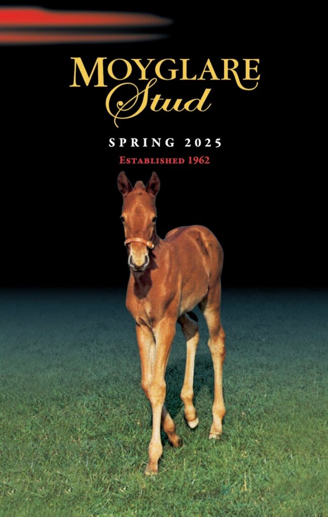 Moyglare Stud Breeding 7