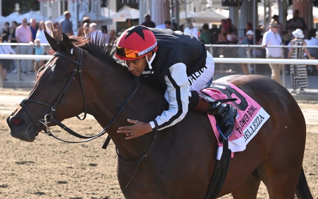 Moyglare Stud Breeding 9