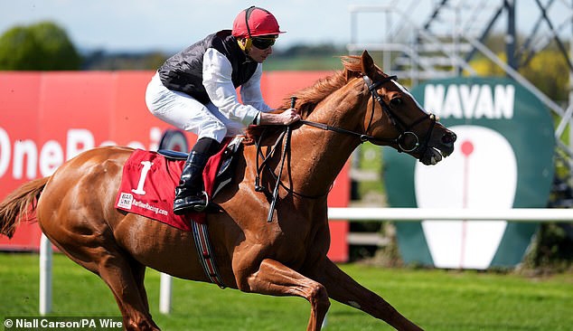 Moyglare Stud News 2