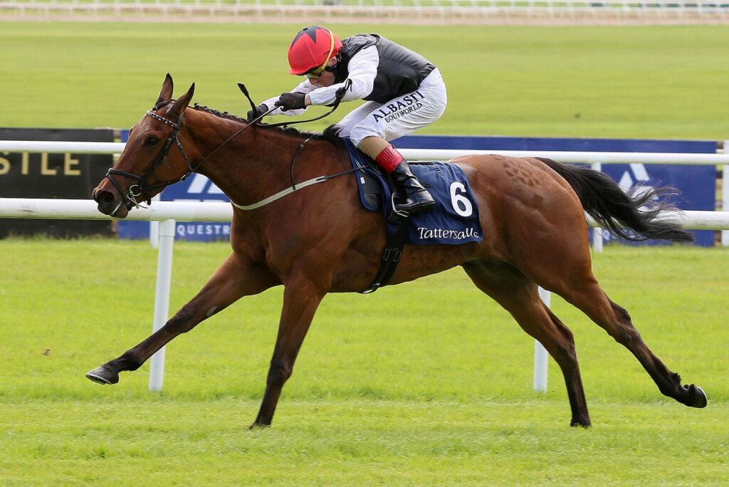 Moyglare Stud Racing 11 Min