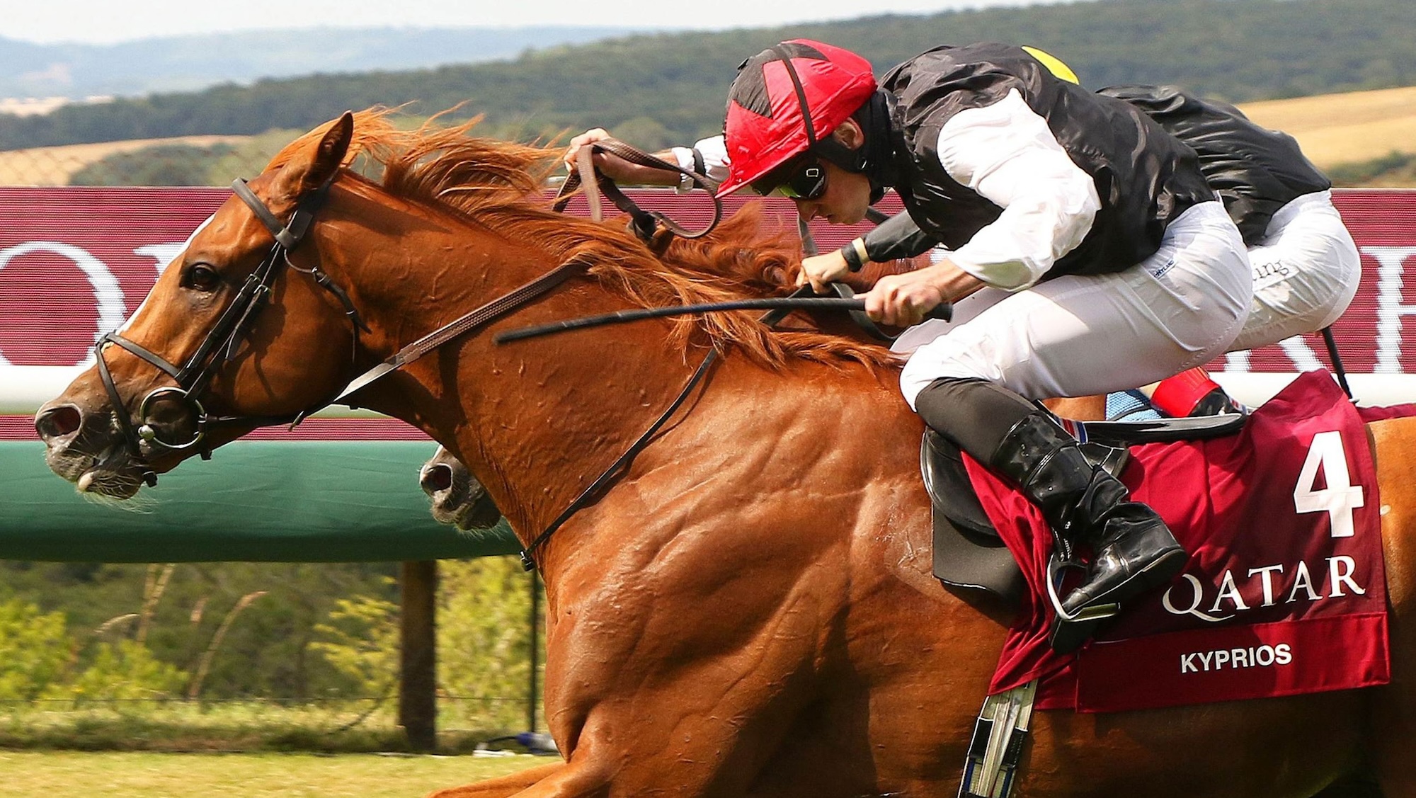 Moyglare Stud Racing 18