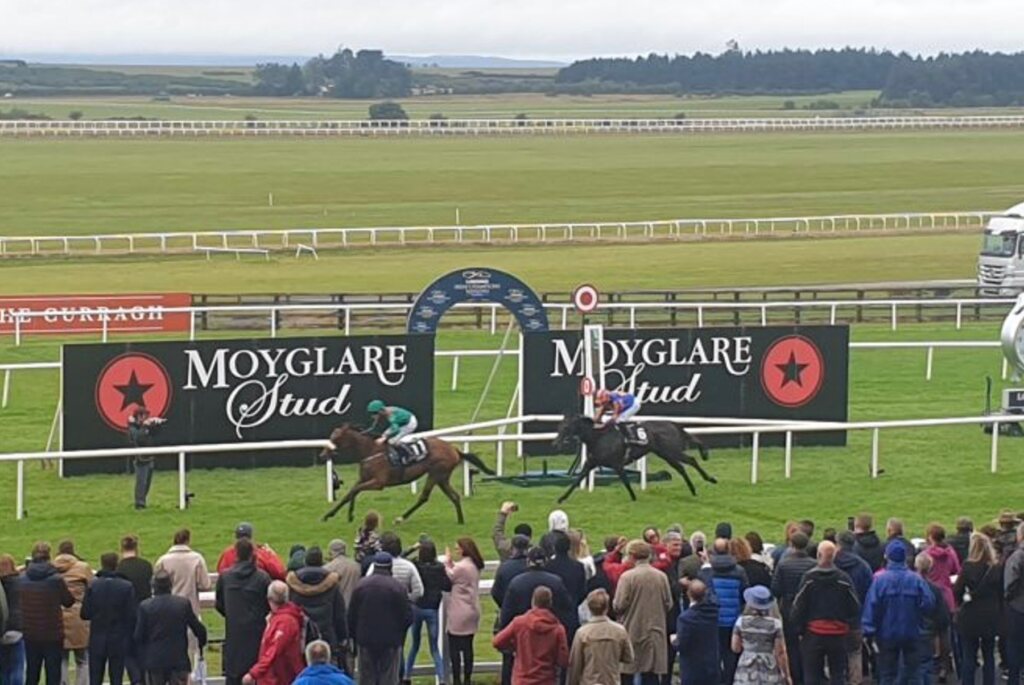 Moyglare Stud Racing 19