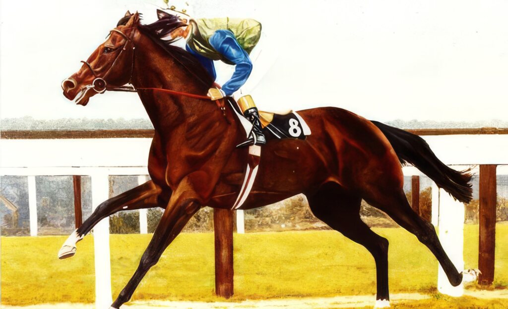 Moyglare Stud Racing 8