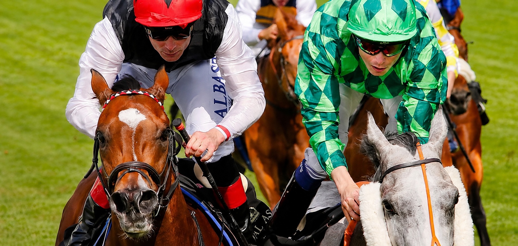 Moyglare Stud Kyprios 10 2